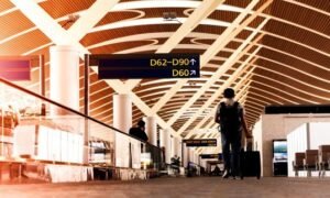 Accounting Services For Free-Zone